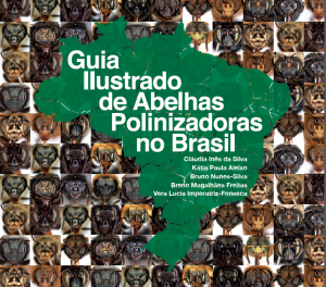 Polinizadores do Brasil
