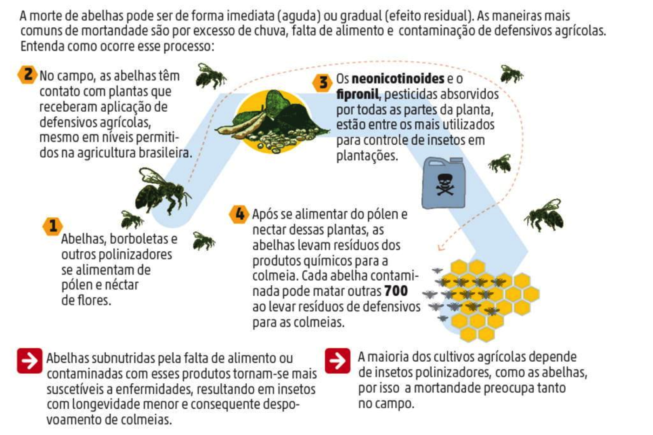 ZH informe RS