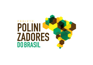 logo_polinizadores of Brazil-01