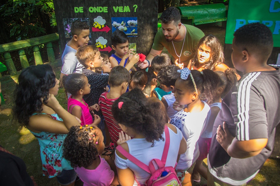 Sin abejas, sin comida: los niños aprenden que los frutos dependen del servicio de polinización que realizan las abejas y otros animales polinizadores.