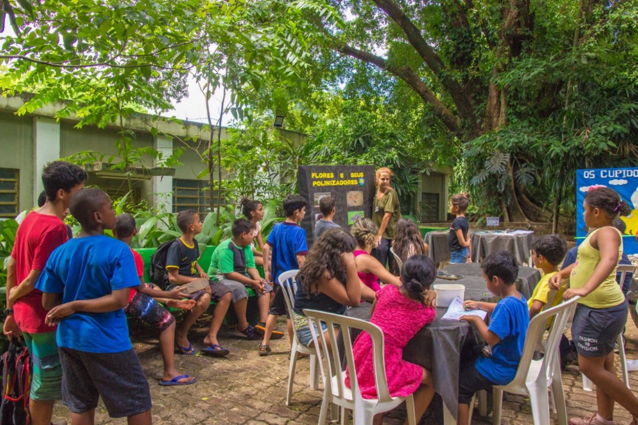 Children and teenagers talk about flowers and pollinators.