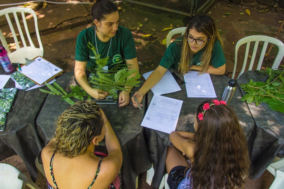 Una clave de identificación botánica ayudó al público visitante a reconocer las especies vegetales que existen en el Bosque de Ribeirão Preto y que se describen en el libro “Gigantes do Bosque”, publicado en septiembre 2018.