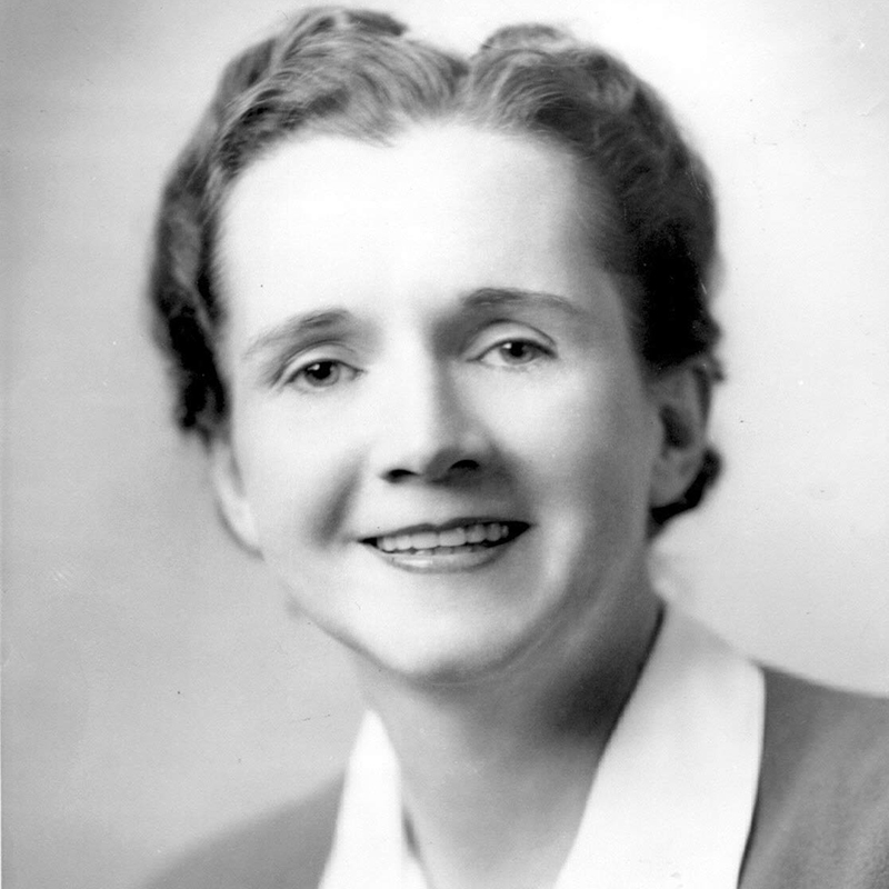 5 Rachel Carson