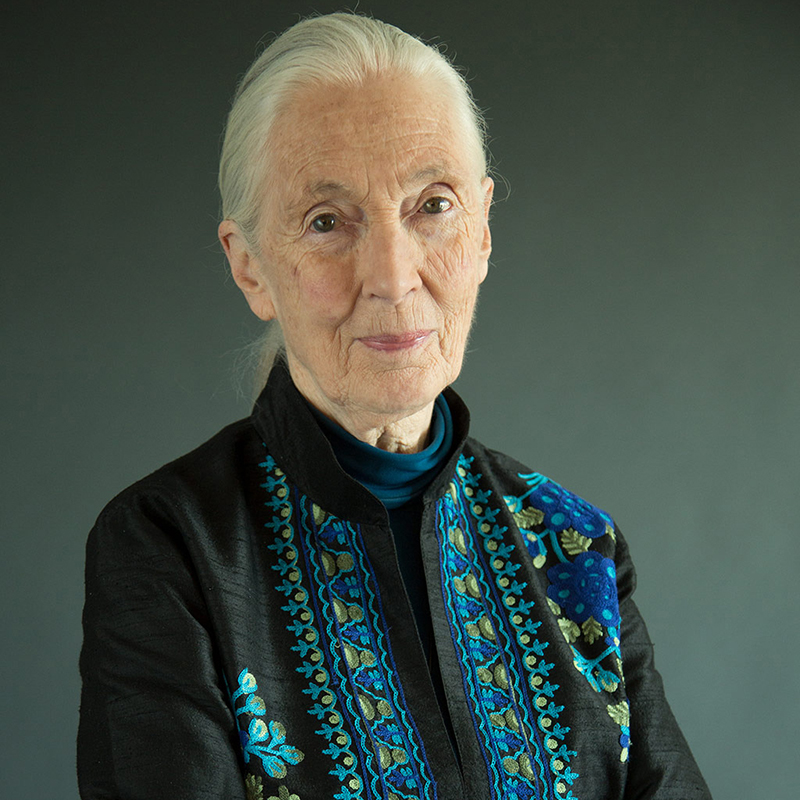 7 Jane Goodall