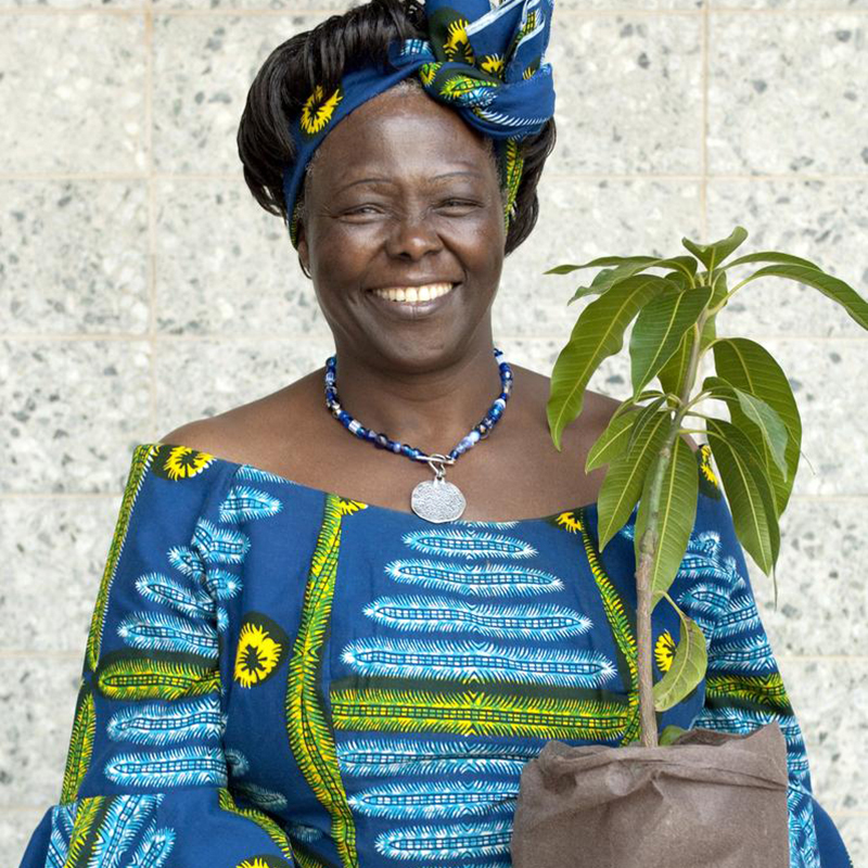 9 Wangari Maathai