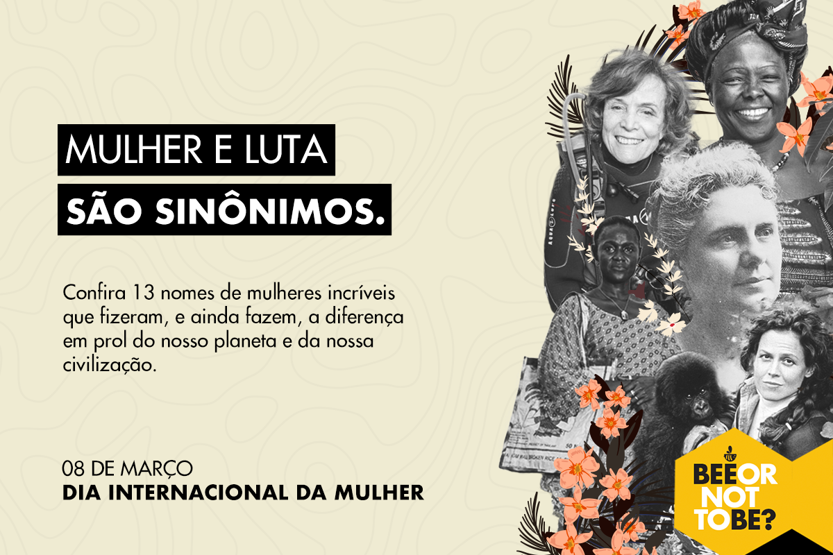 13 Mulheres que lutam pelo meio ambiente -Sem Abelha Sem Alimento