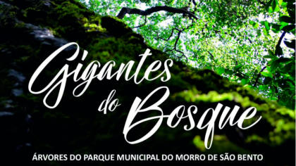 The Municipal Secretariats of Education and the Environment of Ribeirão Preto launched on 21 of September, Tree Day, the book “Gigantes do Bosque - Trees of Morro de São Bento Municipal Park ”.