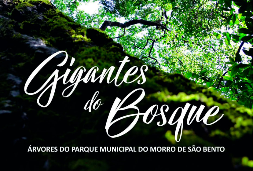 Los Departamentos Municipales de Educación y Medio Ambiente de Ribeirão Preto se lanzaron en la jornada 21 Setiembre, Día del Árbol, el libro “Gigantes del bosque - Árboles del Parque Municipal de Morro de São Bento ".